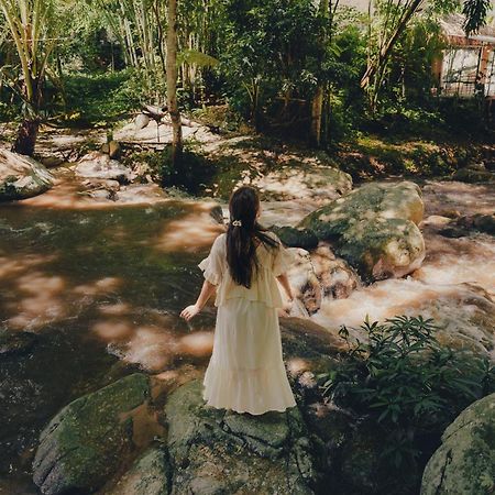 เดอะริเวอร์ แม่กำปอง The River Maekampong Chiang Mai Ban Pok Nai Екстериор снимка
